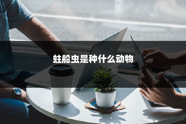 蛀船虫是种什么动物