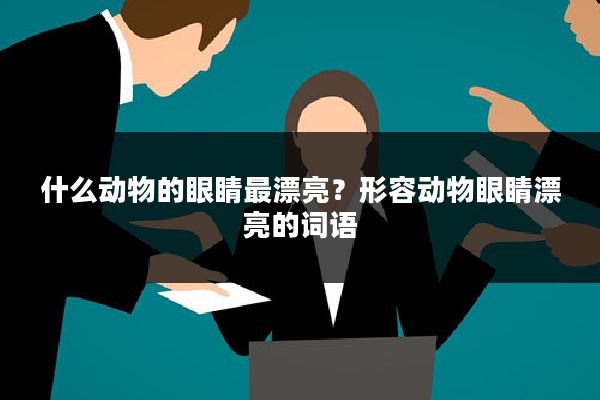 什么动物的眼睛最漂亮？形容动物眼睛漂亮的词语