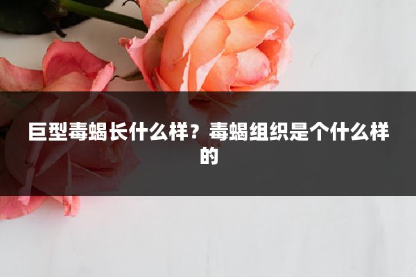 巨型毒蝎长什么样？毒蝎组织是个什么样的