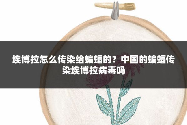 埃博拉怎么传染给蝙蝠的？中国的蝙蝠传染埃博拉病毒吗