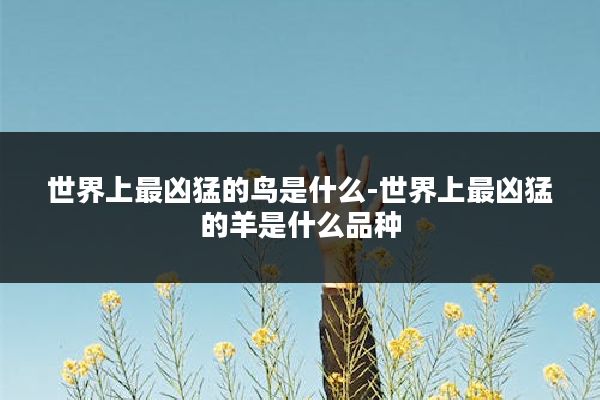 世界上最凶猛的鸟是什么-世界上最凶猛的羊是什么品种