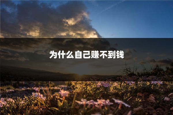 为什么自己赚不到钱