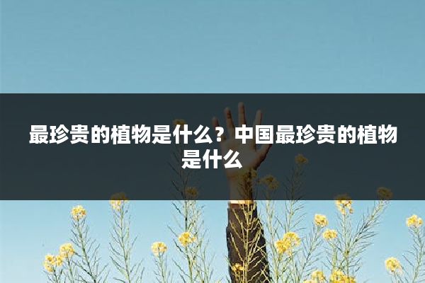 最珍贵的植物是什么？中国最珍贵的植物是什么