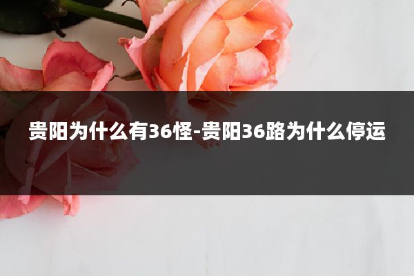 贵阳为什么有36怪-贵阳36路为什么停运