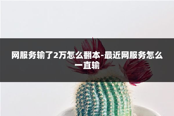 网服务输了2万怎么翻本-最近网服务怎么一直输