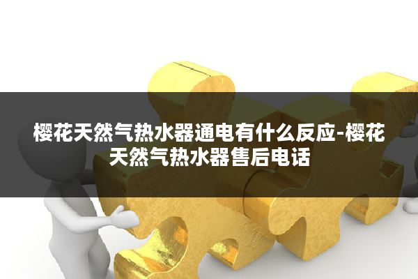 樱花天然气热水器通电有什么反应-樱花天然气热水器售后电话