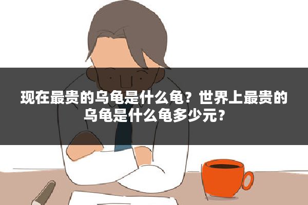 现在最贵的乌龟是什么龟？世界上最贵的乌龟是什么龟多少元？