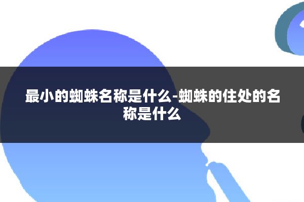 最小的蜘蛛名称是什么-蜘蛛的住处的名称是什么