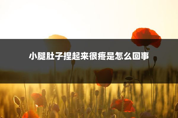 小腿肚子捏起来很疼是怎么回事