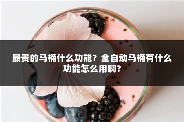 最贵的马桶什么功能？全自动马桶有什么功能怎么用啊？