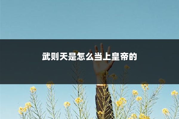 武则天是怎么当上皇帝的