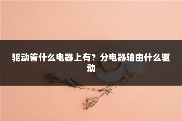 驱动管什么电器上有？分电器轴由什么驱动