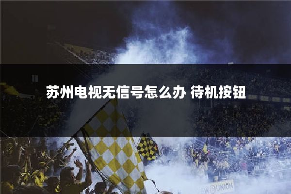 苏州电视无信号怎么办 待机按钮