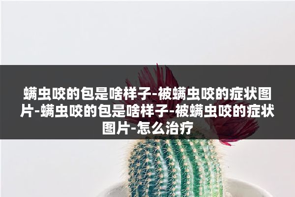 螨虫咬的包是啥样子-被螨虫咬的症状图片-螨虫咬的包是啥样子-被螨虫咬的症状图片-怎么治疗