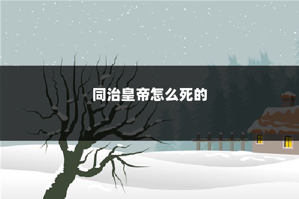 同治皇帝怎么死的