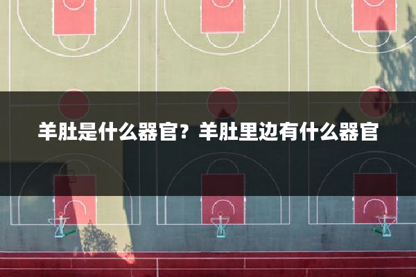 羊肚是什么器官？羊肚里边有什么器官