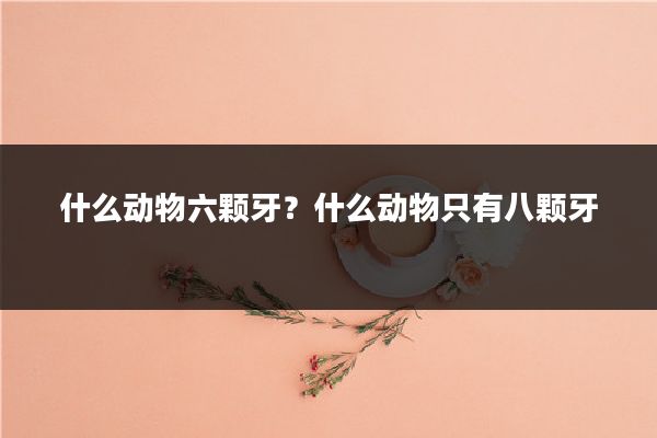 什么动物六颗牙？什么动物只有八颗牙