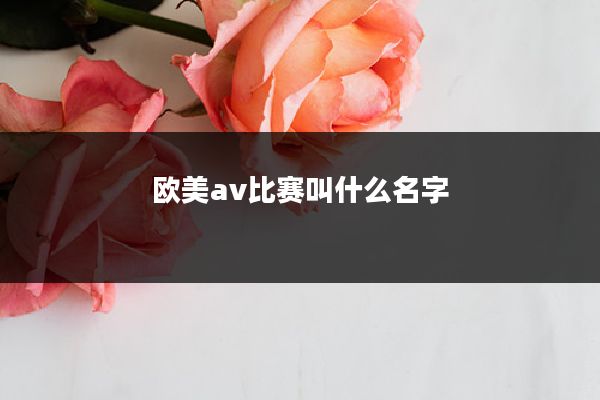 欧美av比赛叫什么名字