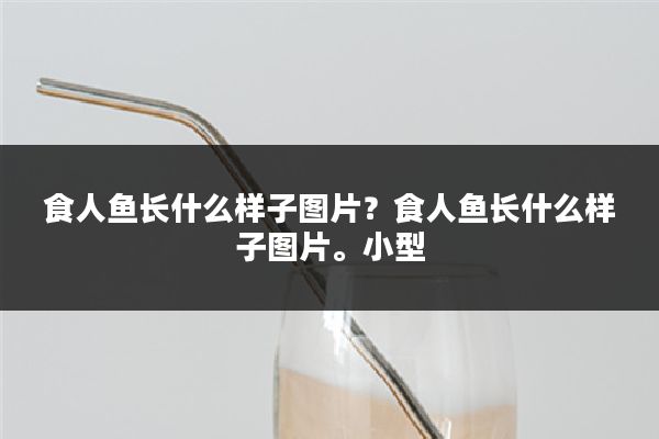 食人鱼长什么样子图片？食人鱼长什么样子图片。小型