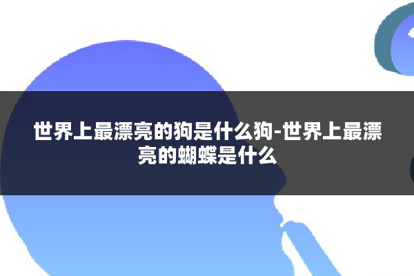 世界上最漂亮的狗是什么狗-世界上最漂亮的蝴蝶是什么