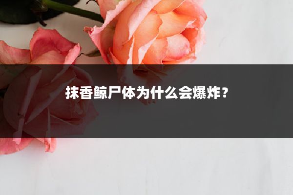 抹香鲸尸体为什么会爆炸？