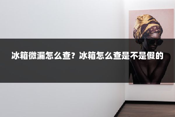 冰箱微漏怎么查？冰箱怎么查是不是假的