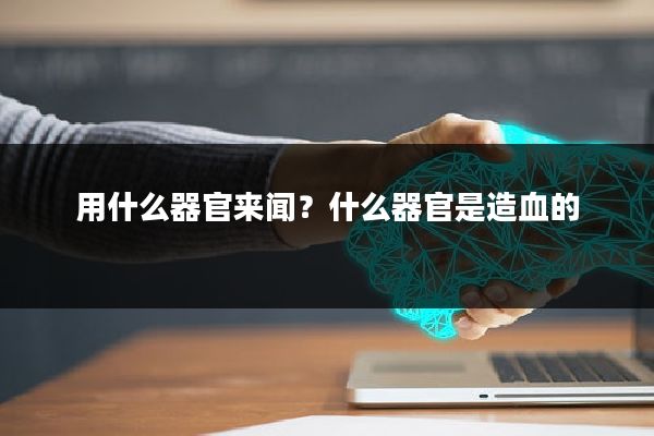 用什么器官来闻？什么器官是造血的