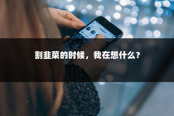 割韭菜的时候，我在想什么？