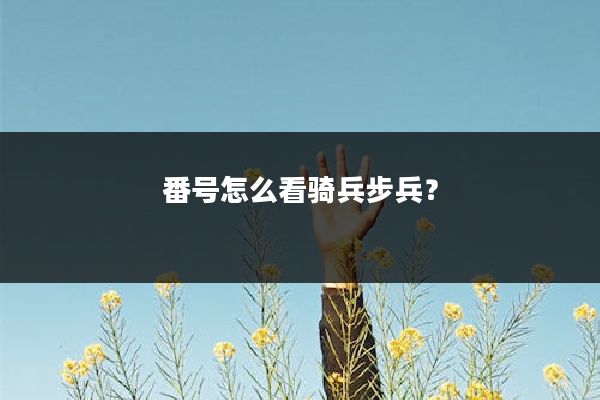 番号怎么看骑兵步兵？