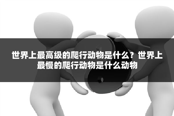 世界上最高级的爬行动物是什么？世界上最慢的爬行动物是什么动物